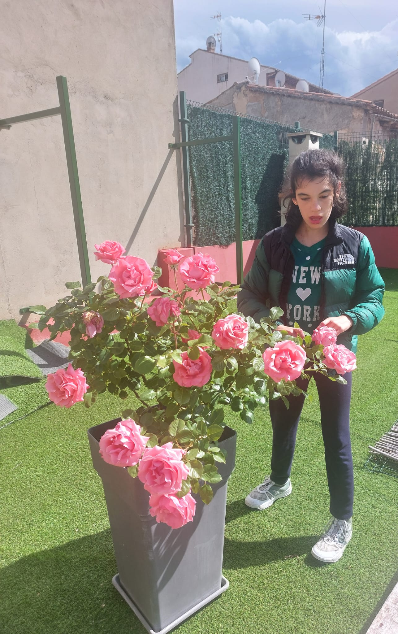 Diana junto a un rosal en flor en una terraza, en un momento tranquilo del día a día.
